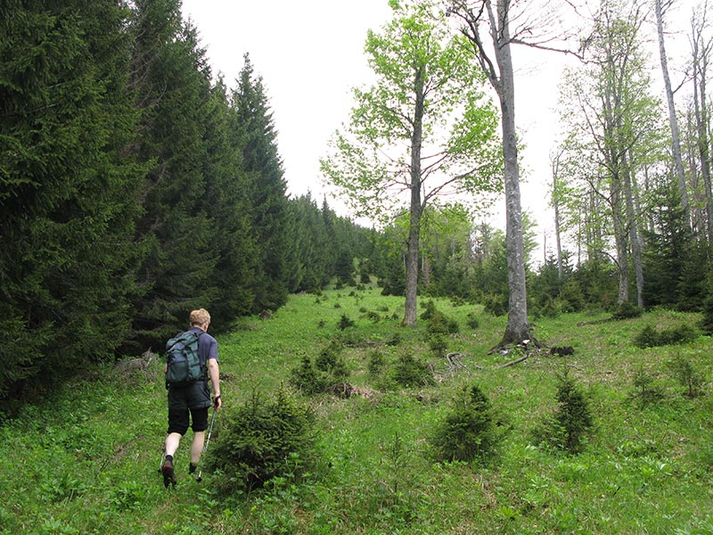 fronbachkogel